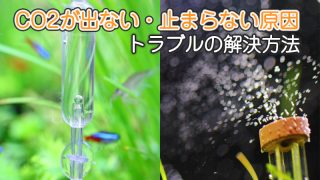 Thumbnail of post image 199